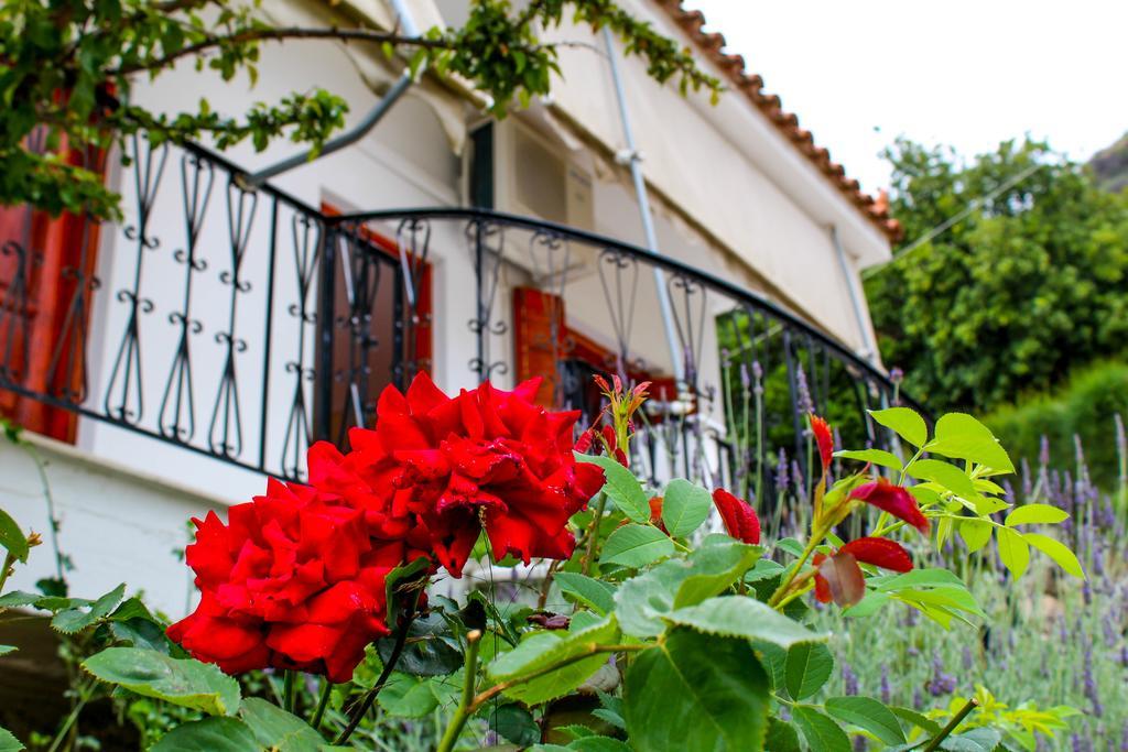 Guesthouse Lykourgos Mavrommátion Exterior foto